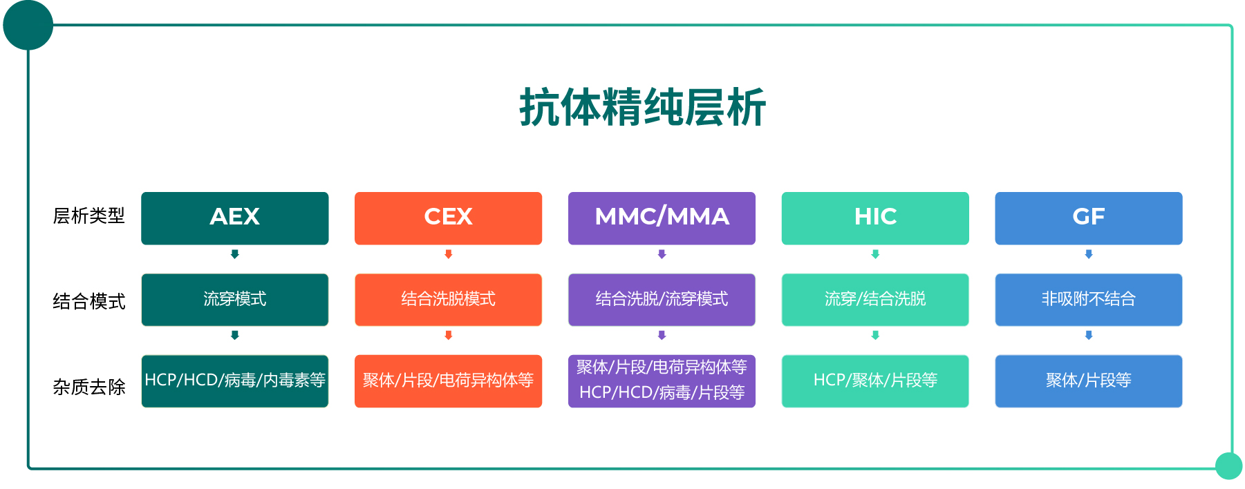 抗体纯化入门指南